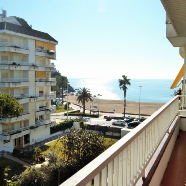 Alexia Garden -4/5 Pax